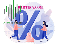 Islamic Broker Cms Account