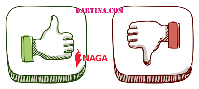 Advantages and Disadvantagesof naga broker