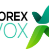 shakhes 6 forexvox broker review