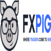 shakhes1000 1 fxpig broker review