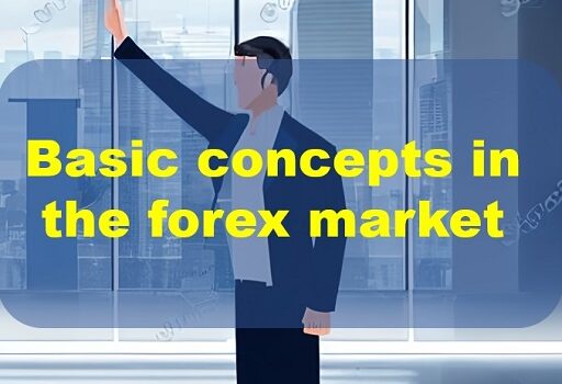 Basic concepts in the forex market