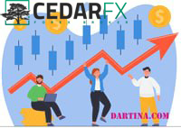 نسخ وسيط cedarfx