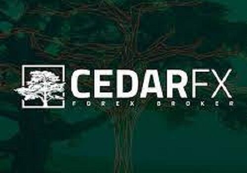 مؤشر cedarfx