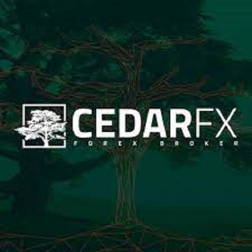 مؤشر cedarfx