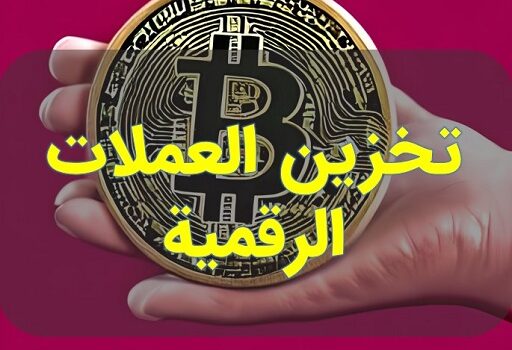 تخزين العملات الرقمية