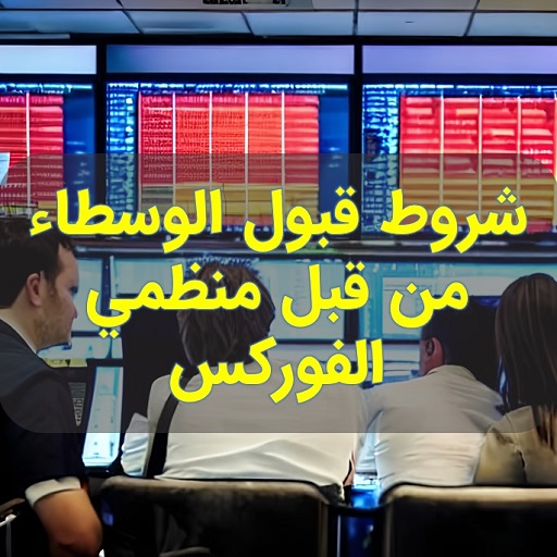 شروط قبول الوسطاء من قبل منظمي الفوركس