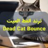 Dead Cat Bounce