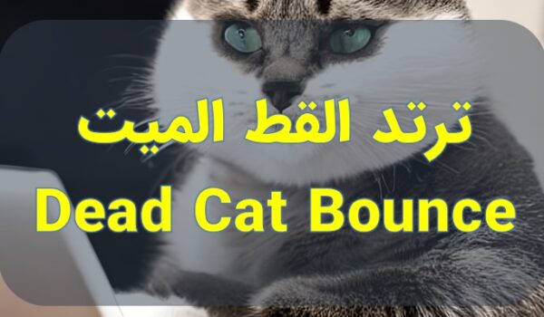 Dead Cat Bounce