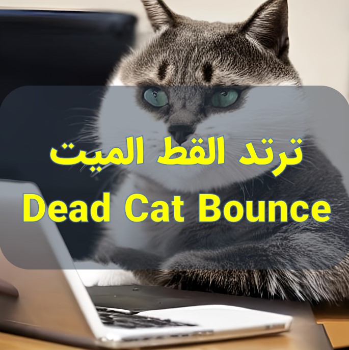 Dead Cat Bounce