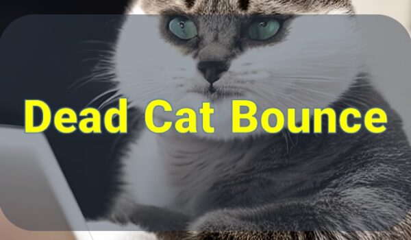 Dead Cat Bounce