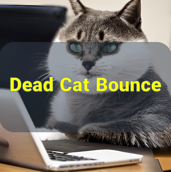 Dead Cat Bounce