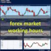 forex market working hours